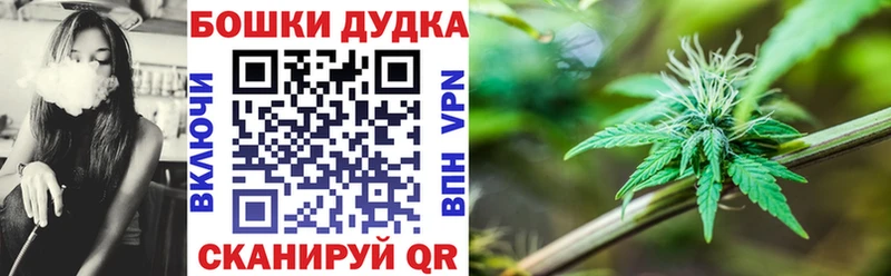 Шишки марихуана конопля  продажа наркотиков  Пласт 